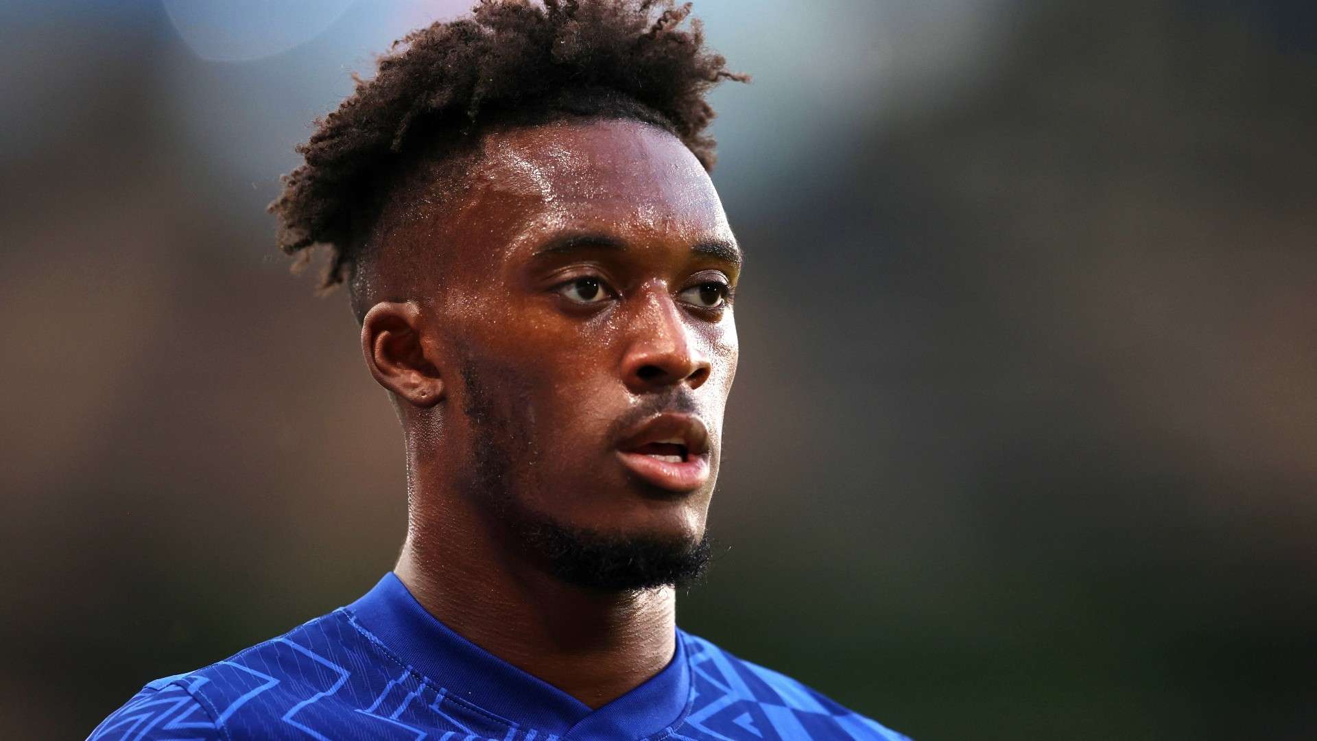 的積極佈局 的積極佈局